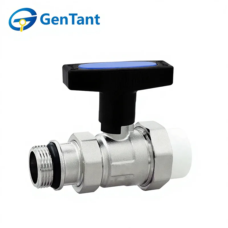 Hosszú szárú visszacsapó szelep