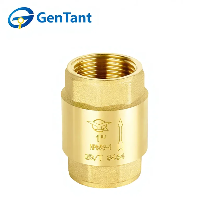 Rugós visszacsapó szelep